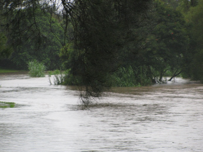 river flood