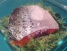 Smoked Salmon Gravadlax