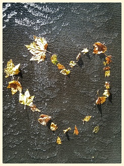 love heart in leaves on wall in Melbourne