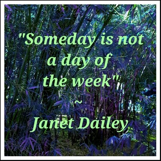 someday is not a day of the week1852628217..jpg