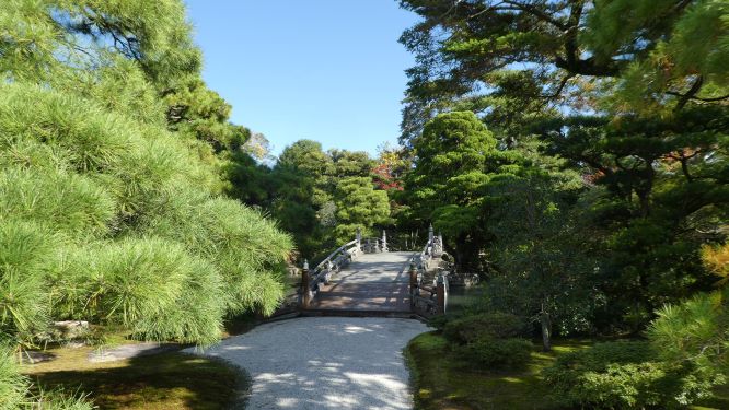 bridge through a garden in japan